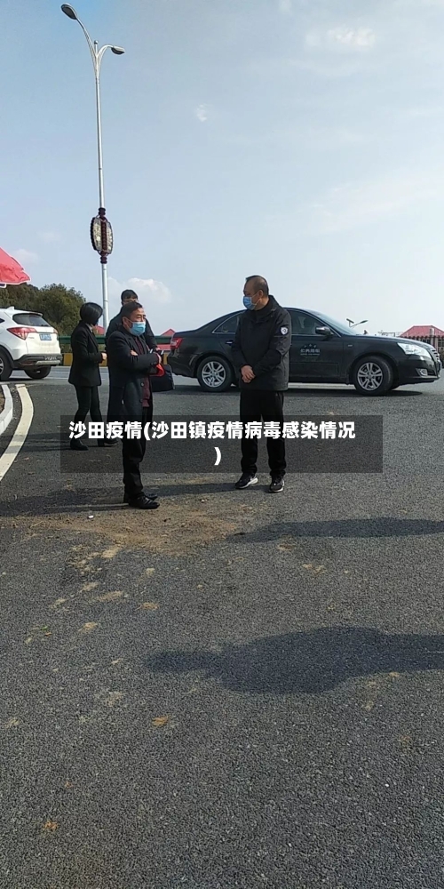 沙田疫情(沙田镇疫情病毒感染情况)-第1张图片