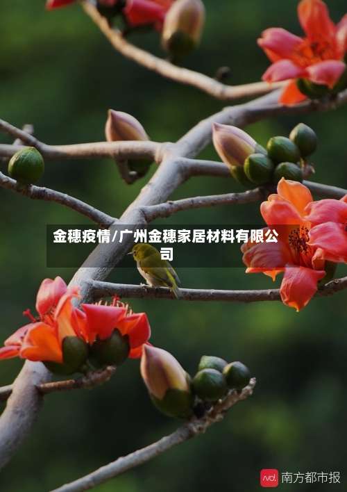 金穗疫情/广州金穗家居材料有限公司-第1张图片