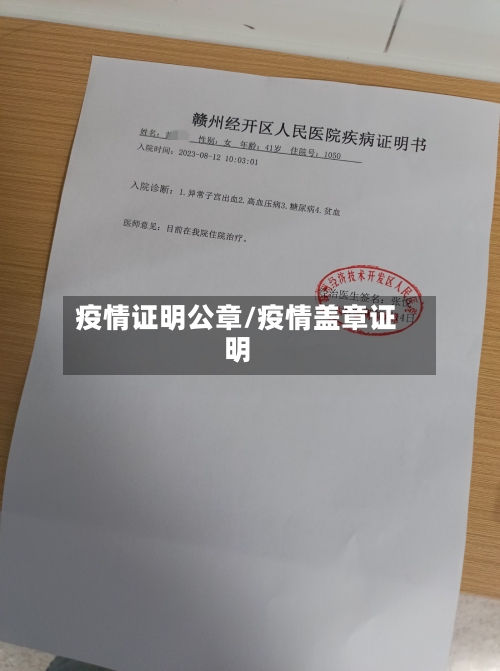 疫情证明公章/疫情盖章证明-第1张图片