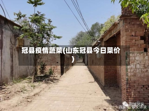 冠县疫情蔬菜(山东冠县今日菜价)-第3张图片