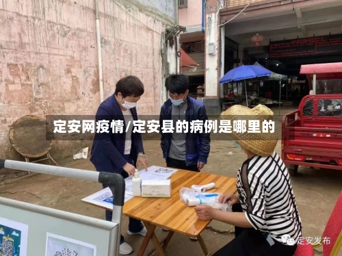 定安网疫情/定安县的病例是哪里的-第2张图片