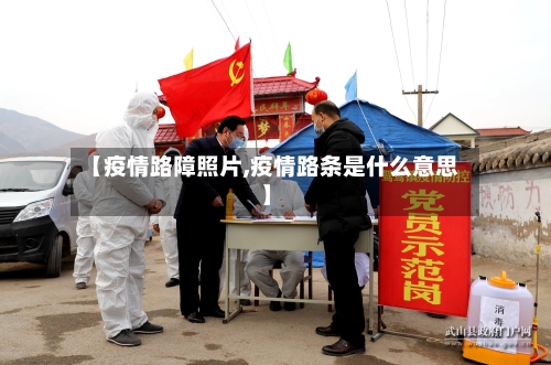 【疫情路障照片,疫情路条是什么意思】-第3张图片
