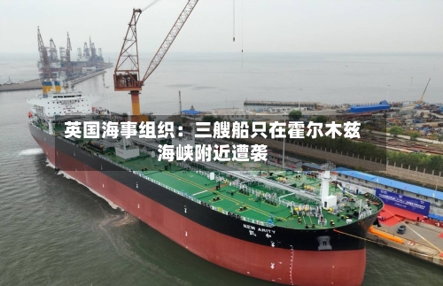英国海事组织：三艘船只在霍尔木兹海峡附近遭袭-第3张图片
