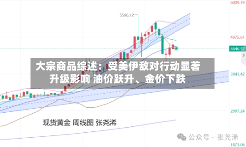 大宗商品综述：受美伊敌对行动显著升级影响 油价跃升、金价下跌-第1张图片