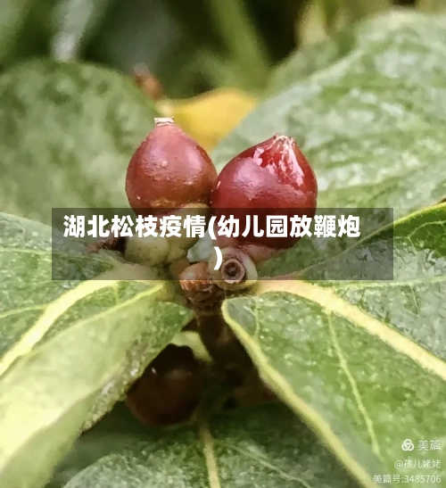 湖北松枝疫情(幼儿园放鞭炮)-第1张图片