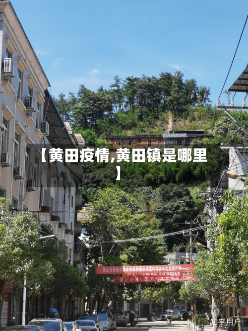【黄田疫情,黄田镇是哪里】-第1张图片