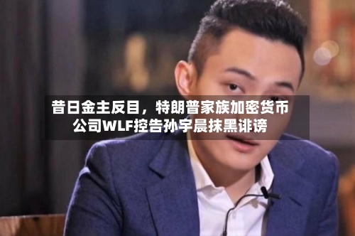昔日金主反目，特朗普家族加密货币公司WLF控告孙宇晨抹黑诽谤-第2张图片