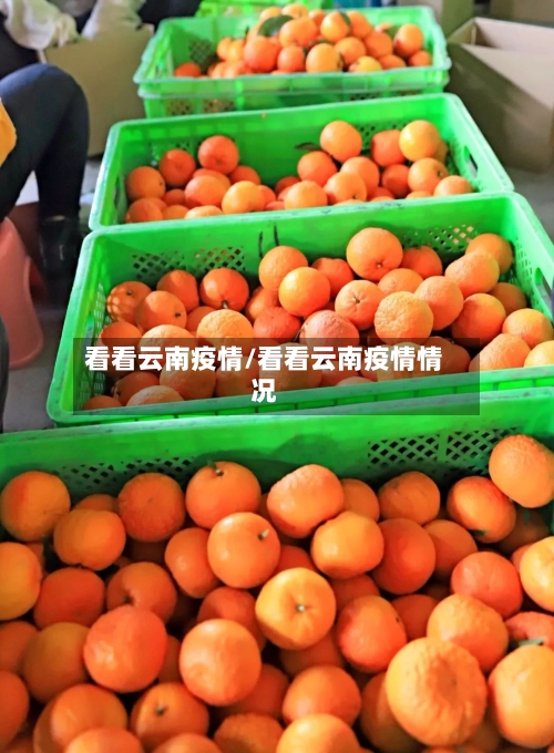 看看云南疫情/看看云南疫情情况-第1张图片