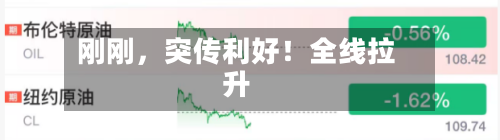刚刚	，突传利好！全线拉升-第2张图片