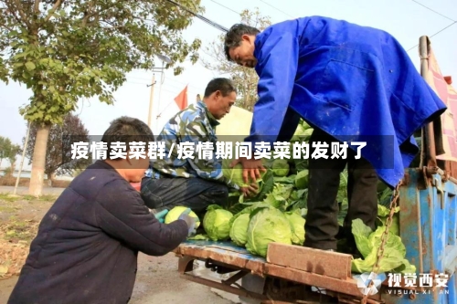 疫情卖菜群/疫情期间卖菜的发财了-第1张图片