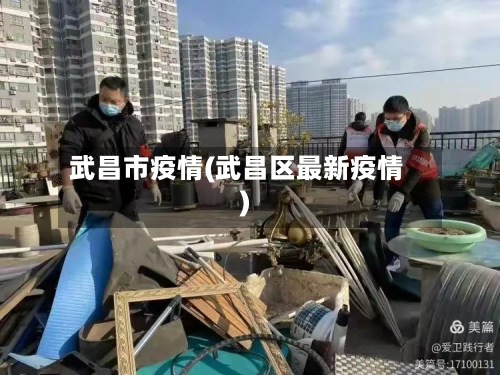 武昌市疫情(武昌区最新疫情)-第3张图片