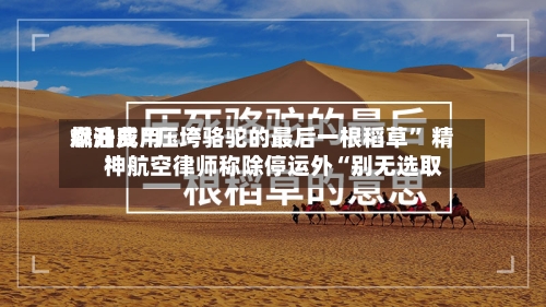 燃油费用飙升成“压垮骆驼的最后一根稻草” 精神航空律师称除停运外“别无选取”-第2张图片