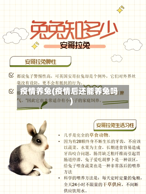 疫情养兔(疫情后还能养兔吗)-第3张图片