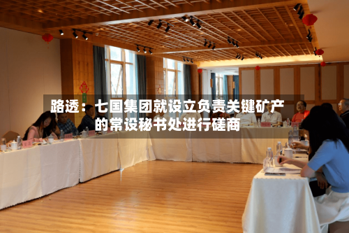 路透：七国集团就设立负责关键矿产的常设秘书处进行磋商-第1张图片