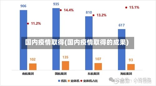 国内疫情取得(国内疫情取得的成果)-第1张图片