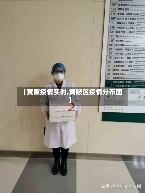 【黄陂疫情实时,黄陂区疫情分布图】-第1张图片