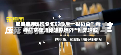燃油费用飙升成“压垮骆驼的最后一根稻草” 精神航空律师称除停运外“别无选取”-第2张图片