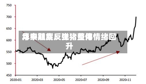 华泰期货：生猪费用月中触底反弹，整体情绪回升-第2张图片