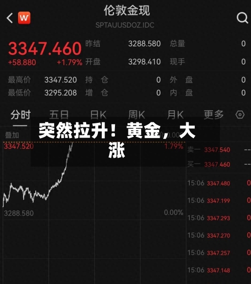 突然拉升！黄金，大涨-第1张图片