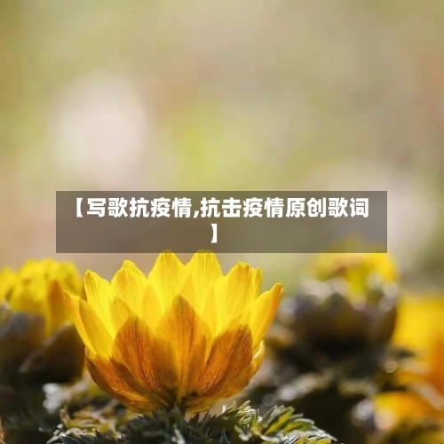 【写歌抗疫情,抗击疫情原创歌词】-第1张图片