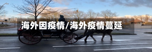 海外因疫情/海外疫情蔓延-第1张图片