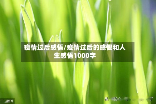 疫情过后感悟/疫情过后的感慨和人生感悟1000字-第1张图片