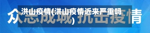 洪山疫情(洪山疫情近来严重吗)-第2张图片