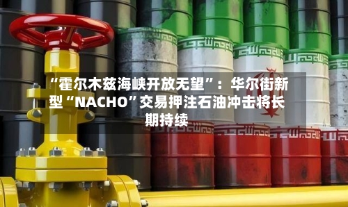 “霍尔木兹海峡开放无望	”：华尔街新型“NACHO”交易押注石油冲击将长期持续-第3张图片