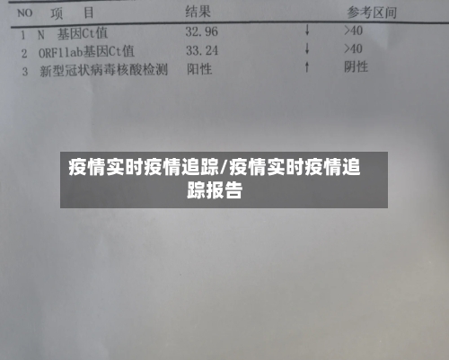 疫情实时疫情追踪/疫情实时疫情追踪报告-第1张图片