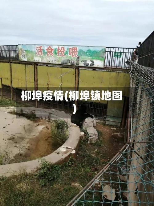 柳埠疫情(柳埠镇地图)-第1张图片