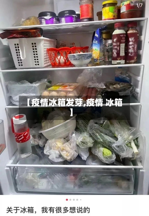 【疫情冰箱发芽,疫情 冰箱】-第1张图片