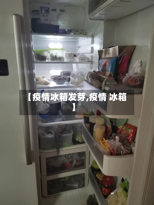 【疫情冰箱发芽,疫情 冰箱】-第3张图片