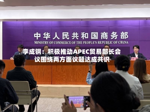 李成钢：积极推动APEC贸易部长会议围绕两方面议题达成共识-第3张图片