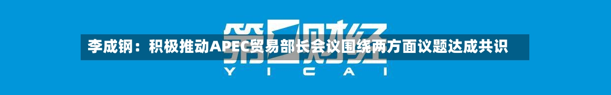 李成钢：积极推动APEC贸易部长会议围绕两方面议题达成共识-第1张图片