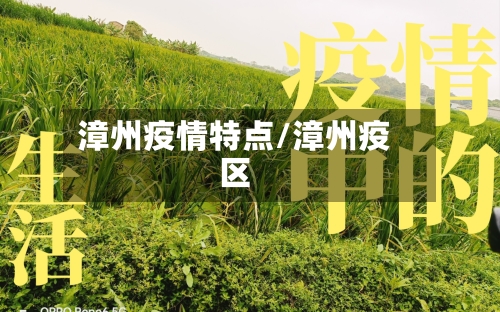 漳州疫情特点/漳州疫区-第1张图片