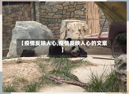 【疫情反映人心,疫情反映人心的文案】-第1张图片