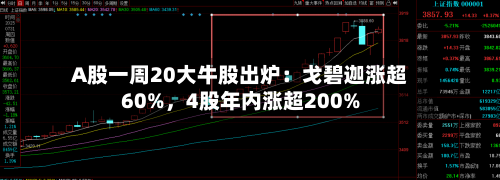 A股一周20大牛股出炉：戈碧迦涨超60%	，4股年内涨超200%-第3张图片