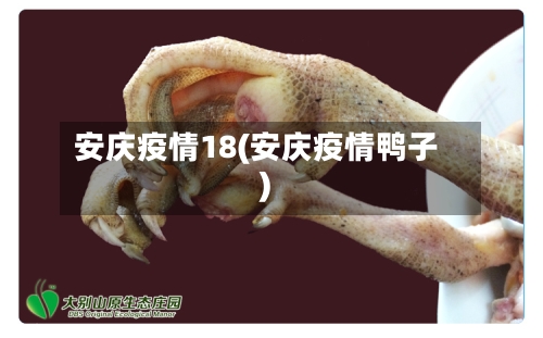 安庆疫情18(安庆疫情鸭子)-第1张图片