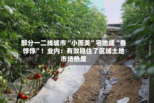 部分一二线城市“小而美	”宅地成“香饽饽”！业内：有效稳住了区域土地市场热度-第1张图片