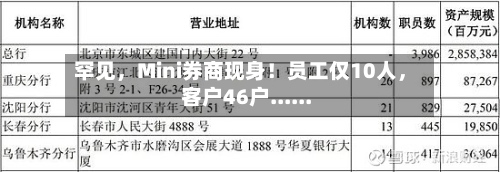 罕见	，Mini券商现身！员工仅10人，客户46户......-第1张图片