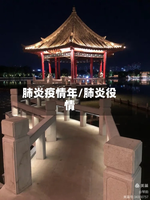 肺炎疫情年/肺炎役情-第3张图片