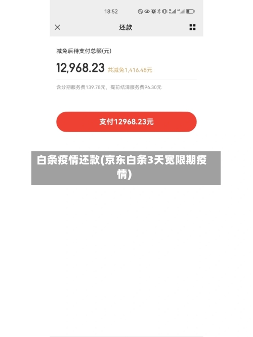 白条疫情还款(京东白条3天宽限期疫情)-第1张图片