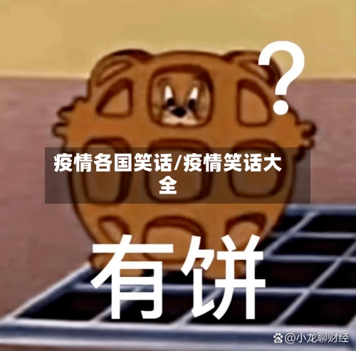 疫情各国笑话/疫情笑话大全-第3张图片
