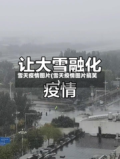 雪天疫情图片(雪天疫情图片搞笑)-第3张图片