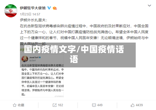 国内疫情文字/中国疫情话语-第1张图片