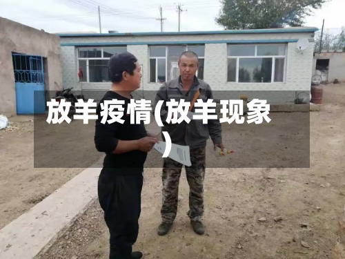 放羊疫情(放羊现象)-第1张图片
