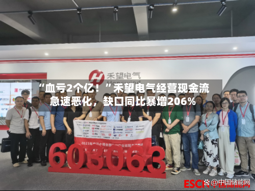 “血亏2个亿！”禾望电气经营现金流急速恶化	，缺口同比暴增206%-第2张图片