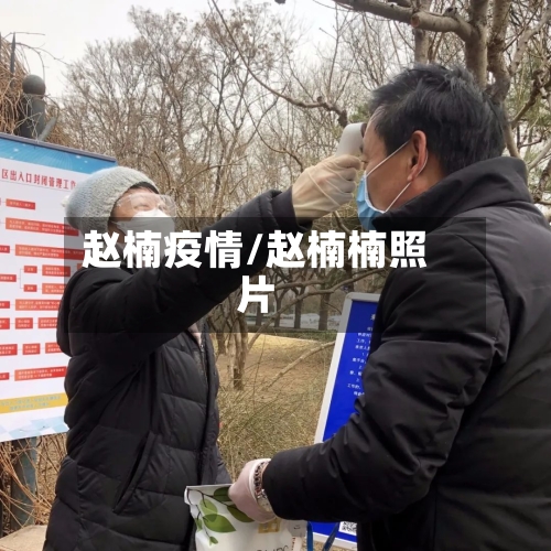 赵楠疫情/赵楠楠照片-第3张图片