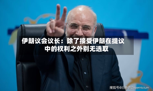 伊朗议会议长：除了接受伊朗在提议中的权利之外别无选取-第2张图片