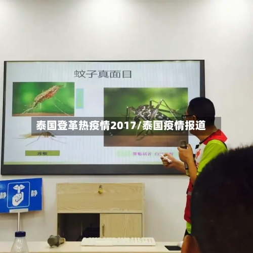 泰国登革热疫情2017/泰国疫情报道-第2张图片